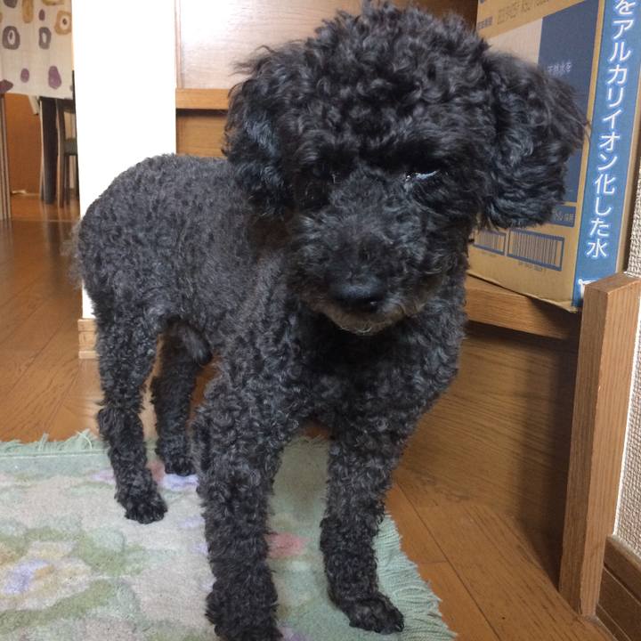 C96e2398 328c 4dee 86bd abb789804347