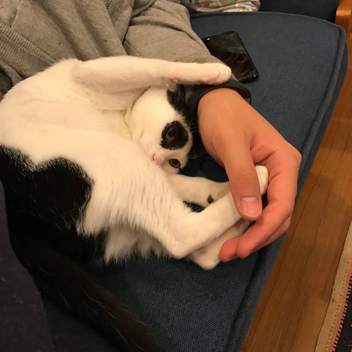 C96e33f3 5e9c 41e1 92fc 9574f5ed98c2