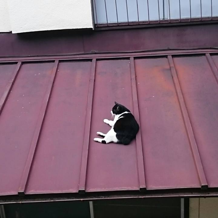 C96eb3fd e18f 4077 accd aab33c44e4c8