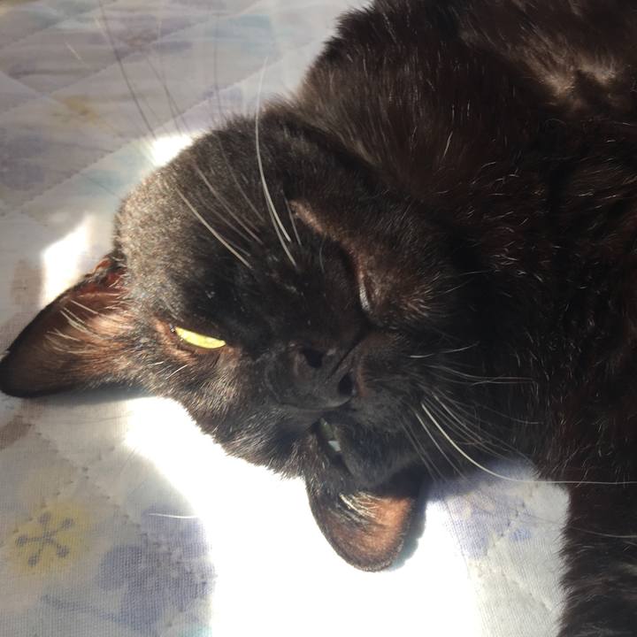 C96eb84c 634e 4f33 b01d 7649f85673bd