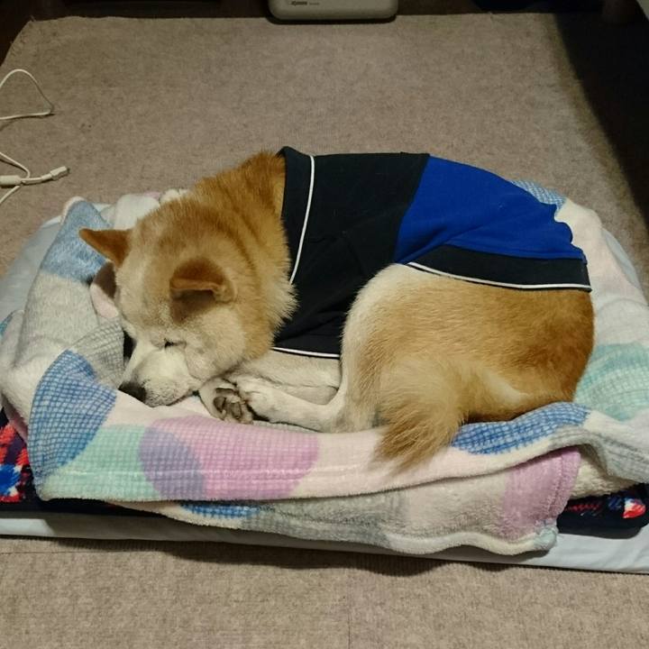 C96f5d80 4d87 488c 8496 e781acdc0499