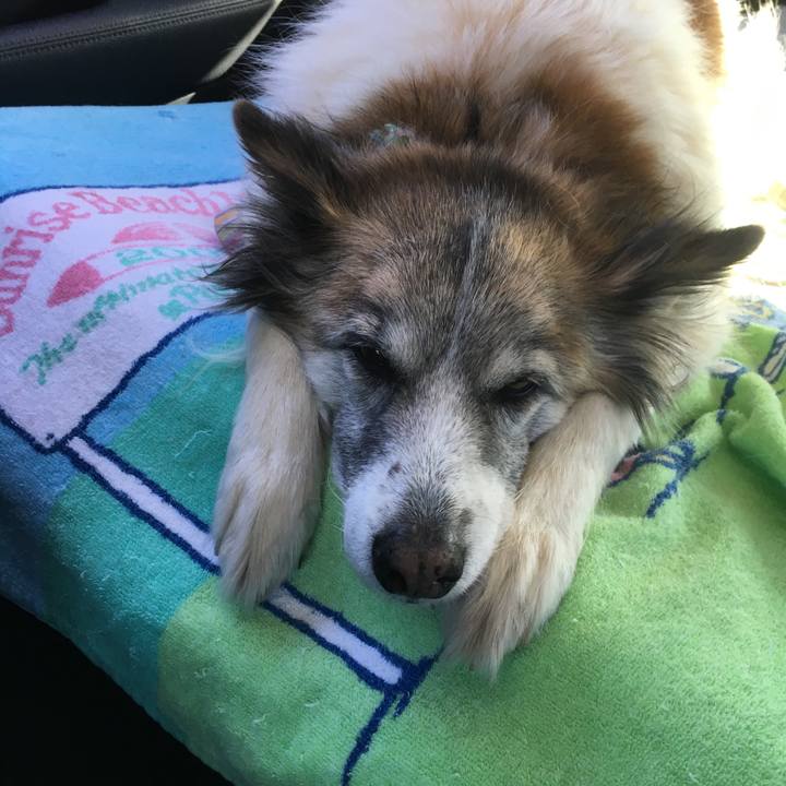 C96f8699 910a 4743 8bad 0e6a88dab3af