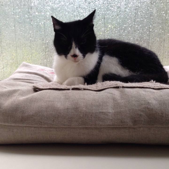 C96fca96 bc11 4b68 a9c5 25ace112d621