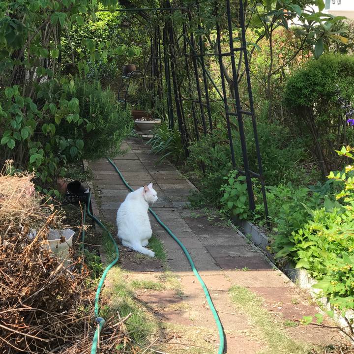 C970631b 7b24 455f 98c8 1bb3db1aa67a