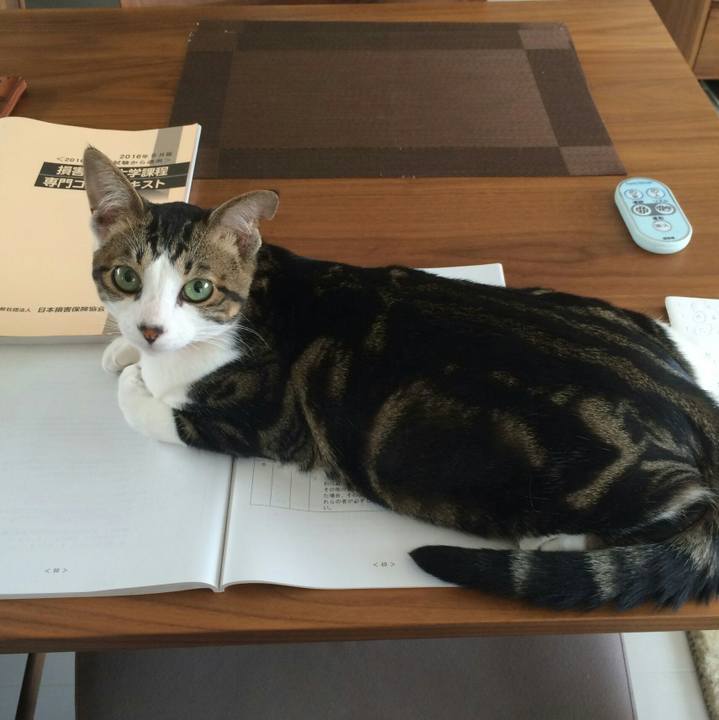 C97094a2 8eef 45ac b534 5963d4c477af