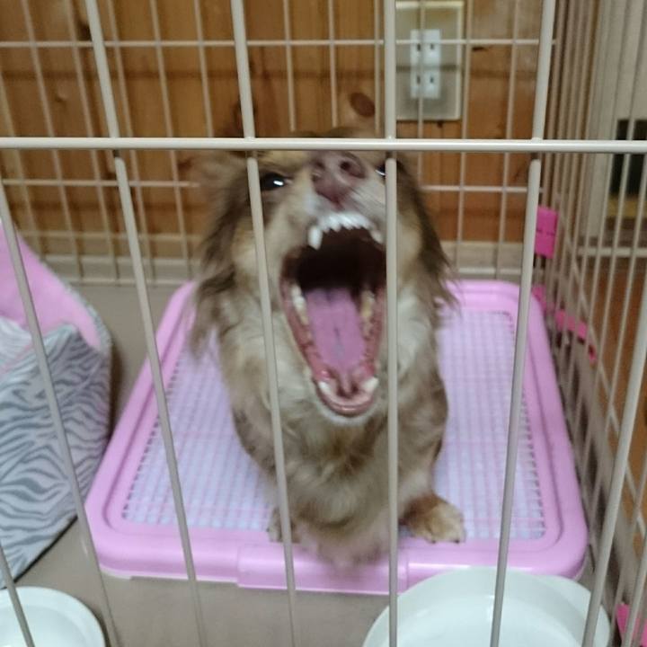 C971968d b307 404b ac0f 332326d8db73