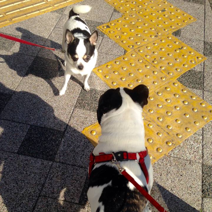 C971d75c ad23 4bd8 832a 690760266548