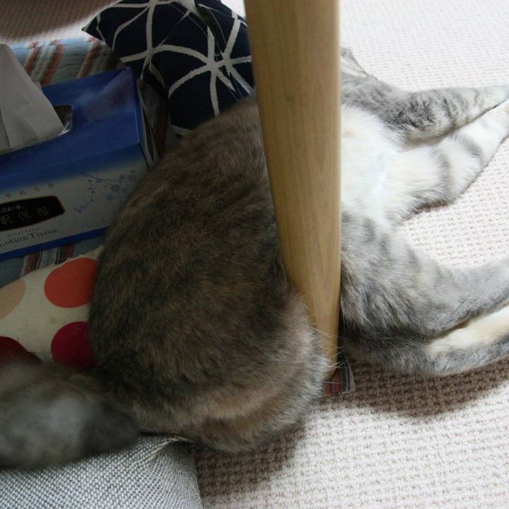 C972a161 fc4c 400e 8a20 ae9099d3f9ac