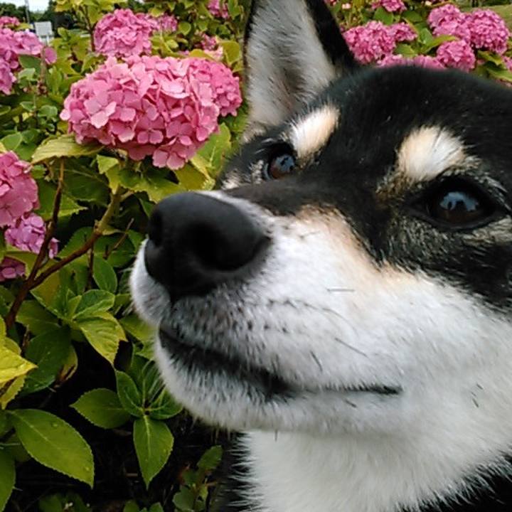 C972b8c5 ad40 44a6 b0d2 a95f458c6dce