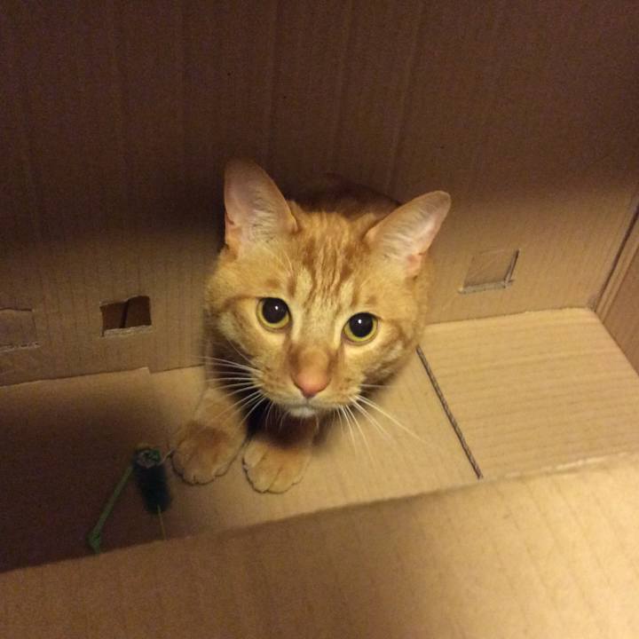 C9731c8c b060 4735 93d0 12b0783f8a12