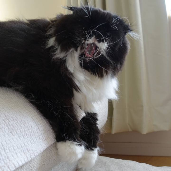 C9732c1d f9ca 4c63 ac13 f2f986a2e55c