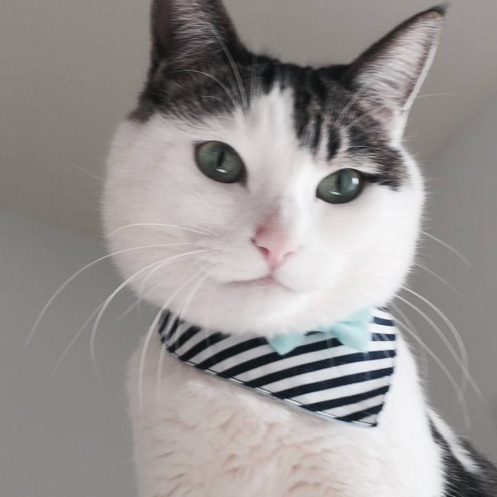 C9734960 d35a 4e72 b97c 81ea1f897a7f