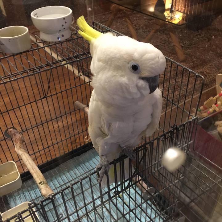 C9738786 a631 4d37 8ba6 3bde1d1fb0b6