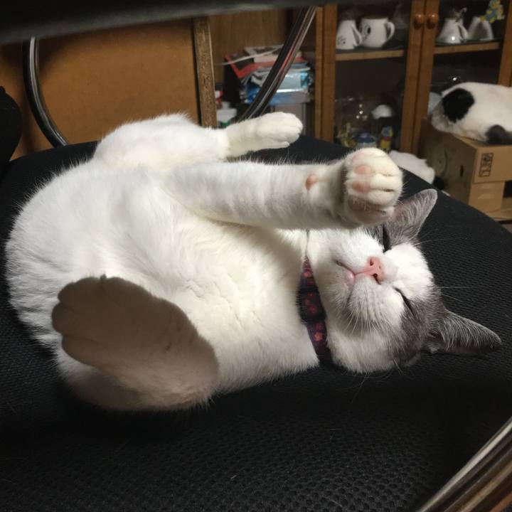 C97387f8 1fe6 45de baad 30dc937f1374