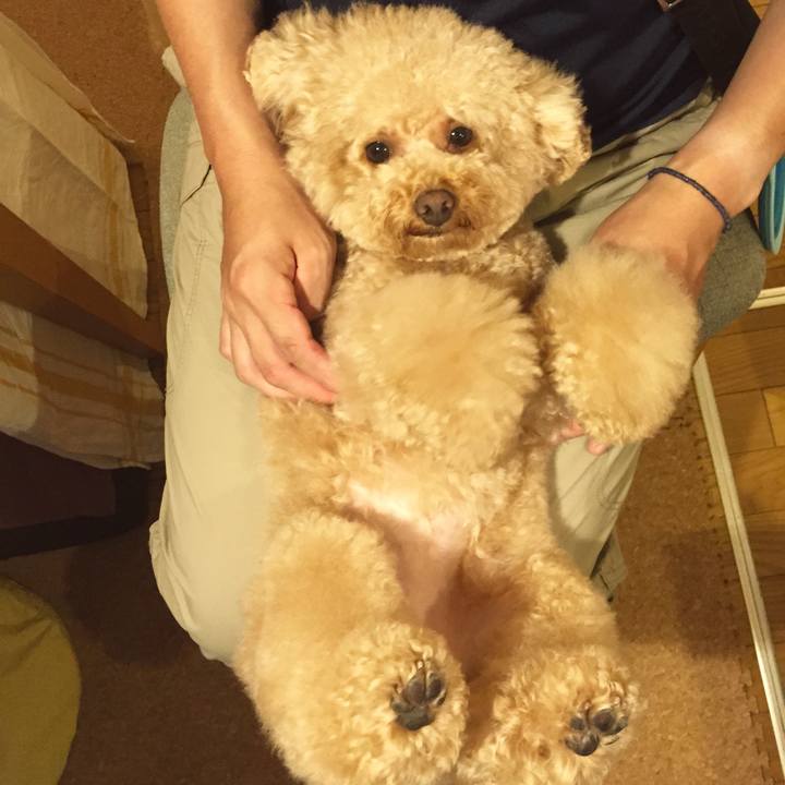 C97406f1 6295 4908 aa34 5f87c298d9bb