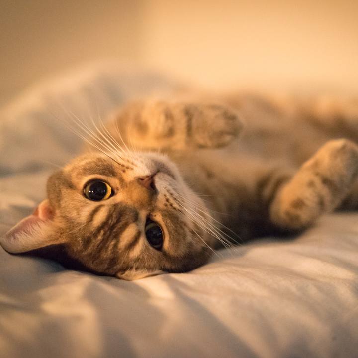 C9742875 c8f5 484a 8653 89adb15fe603