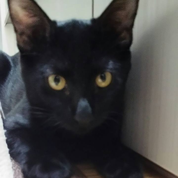 C974bcb6 1a0b 493a ae54 64253955ba97