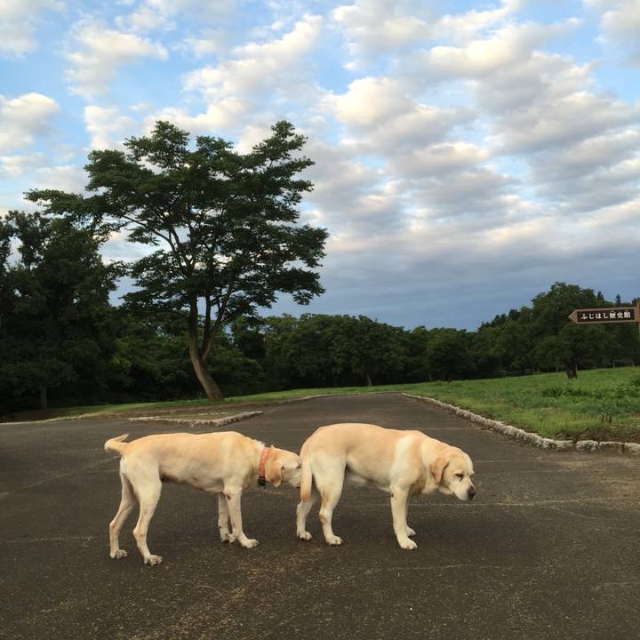 C975d320 ce30 4dbd 914a 7bcc91994c82