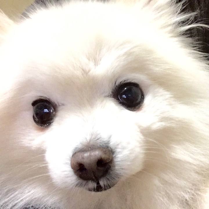 C976436e a608 4d72 b374 7c09058a2af0