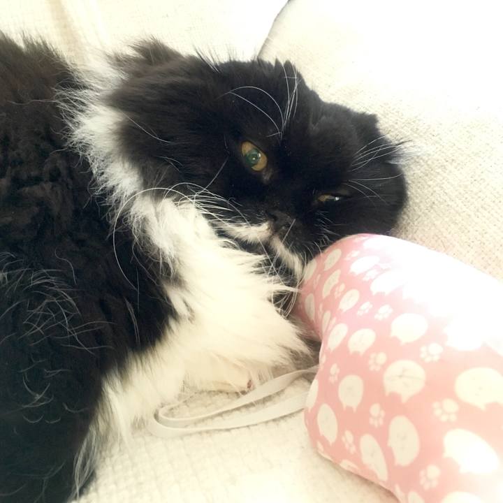 C976564e 2f95 4e76 a50e 992bda3bdae0