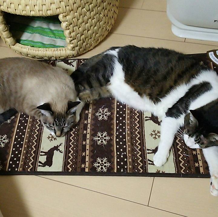 C9771b29 fef9 4246 8d7f ddfe583047a5