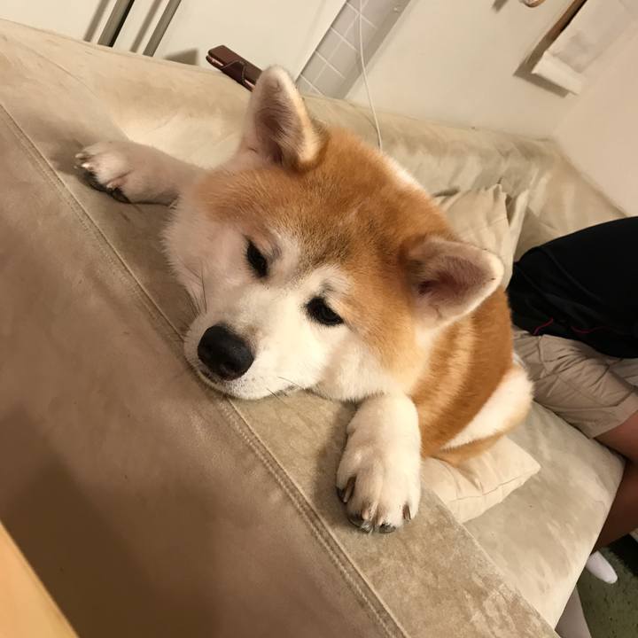 C9772dc4 2541 42e3 a74b 99ccc87d9349