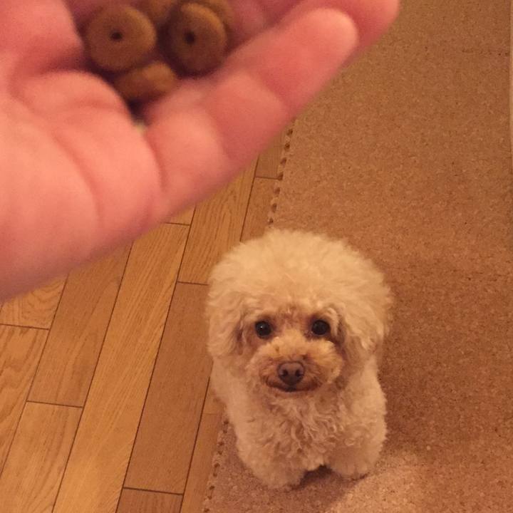 C97747bc a3dc 4e44 953b b95b33f802c3