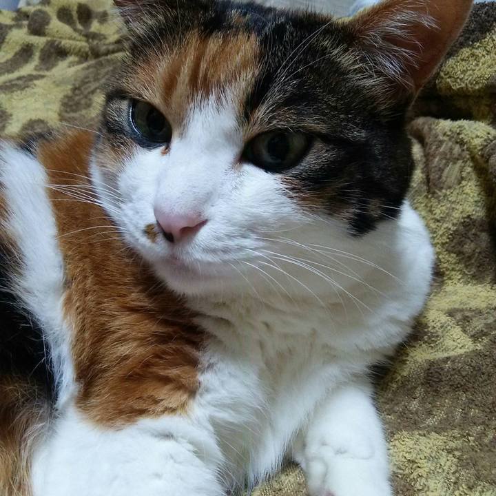 C978267c f3a1 4710 8fb5 72d5c9a44782