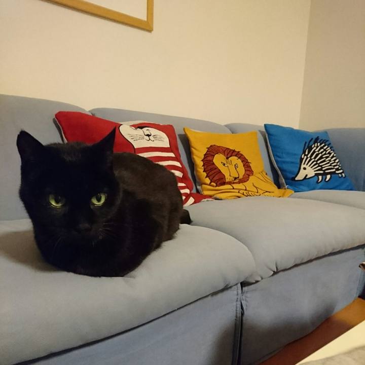 C9792f11 8df5 4de2 8ab3 a216b77097ff