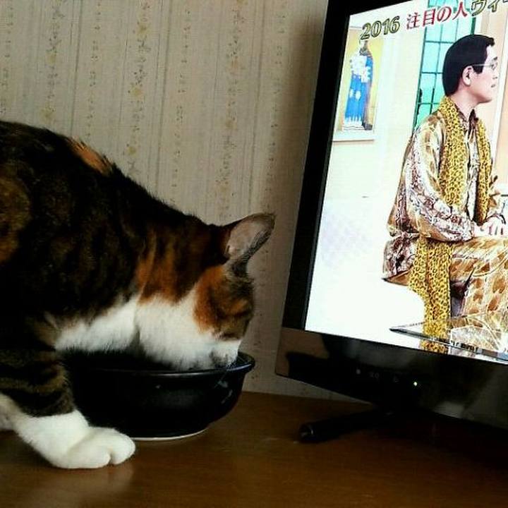 C9797483 1abe 4792 b83d 542af85d60f6