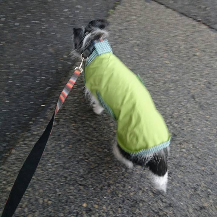 C9799f6d f9b9 44a2 87dc f949174e5b6b