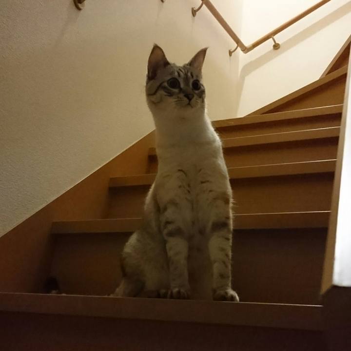 C97a4097 228b 4de8 a808 1a55087a884f