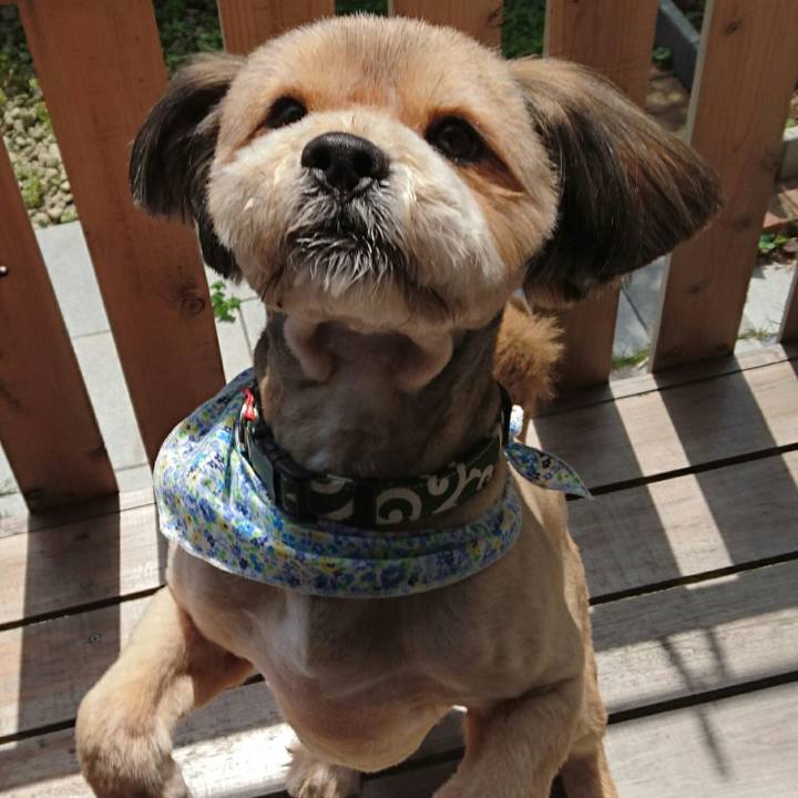 C97aa4da 35ee 4de8 9fed a3fe5a7f3a22