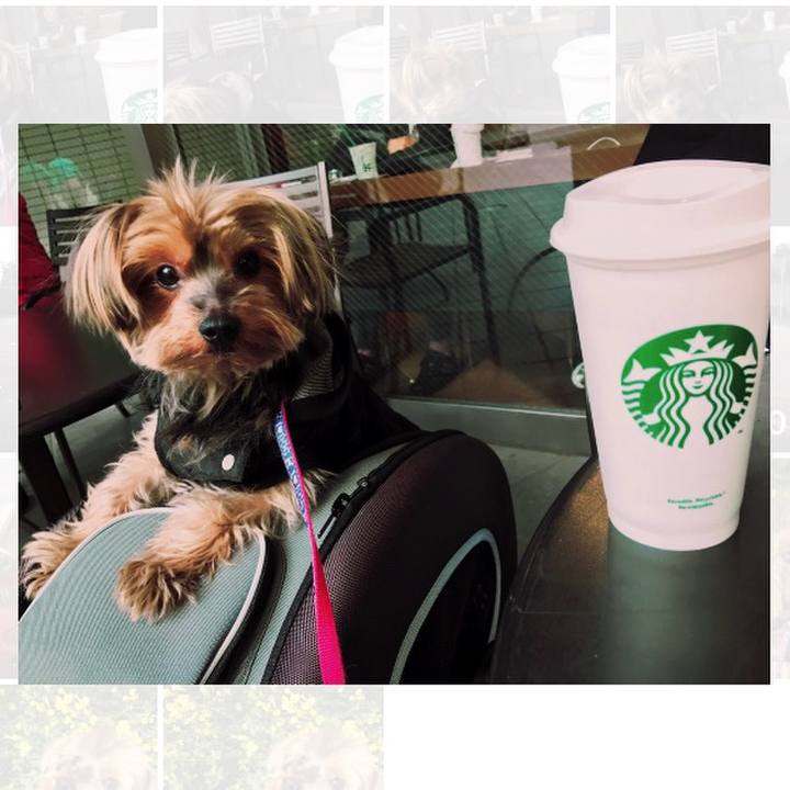 C97aa5ab ab51 47e4 8d0b 033a97b209b0