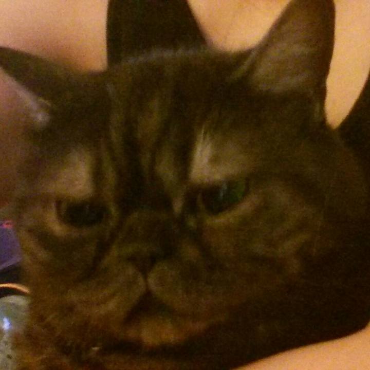 C97aec49 bc4b 4373 913d 4fd14dd9990b