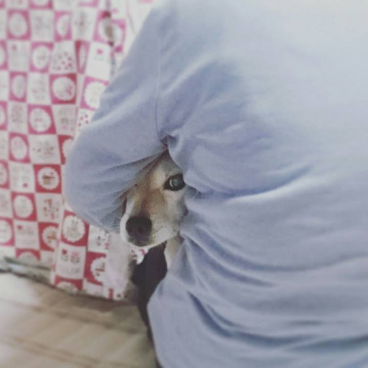 C97b38f6 9dd7 4fb6 b180 4ba5f0a4126e