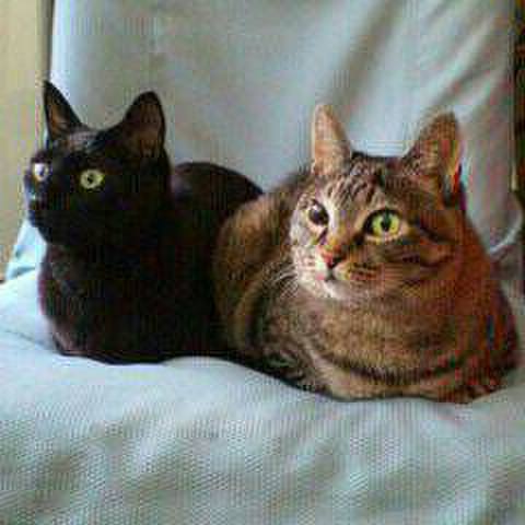 C97b4775 a5e3 4496 94da 8085908b8488