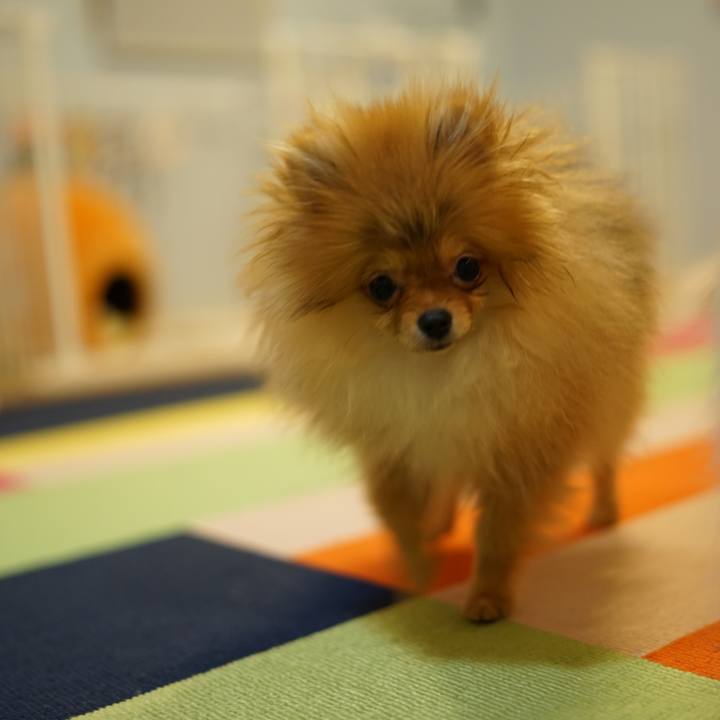 C97c1961 92ef 4c2c abf2 b4b27769f7c9