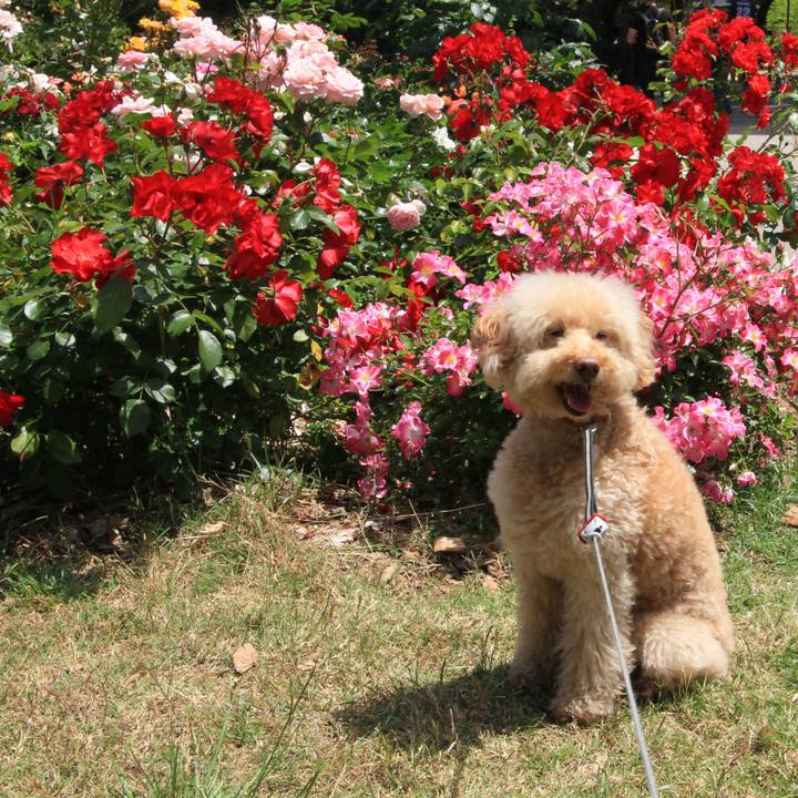 C97c73f2 9dea 4052 99a6 92734ed0f55b