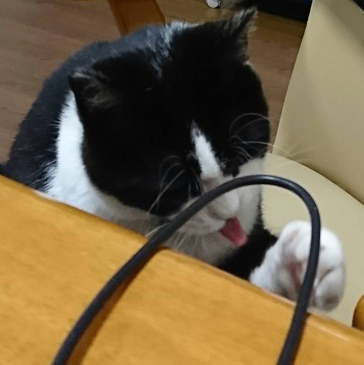 C97cbe45 4560 4d42 b521 985ab8a9db11