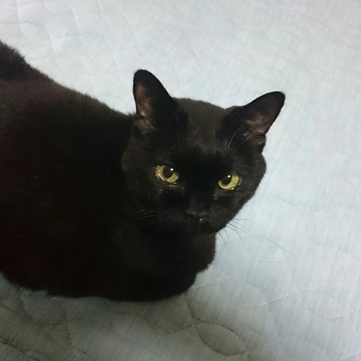 C97d582c 044e 4ef0 9828 f20724a7d6bf