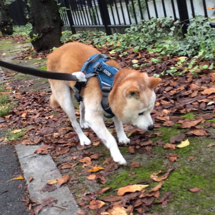 C97db1c7 5671 4ed7 a73a 70891213c2cc