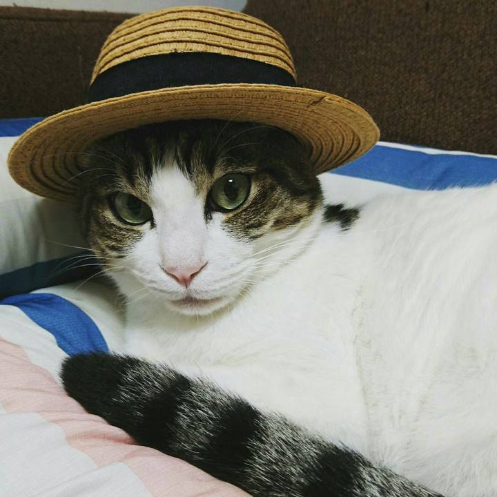 C97dd1e4 4b13 477a 8062 994c9f9f4c49