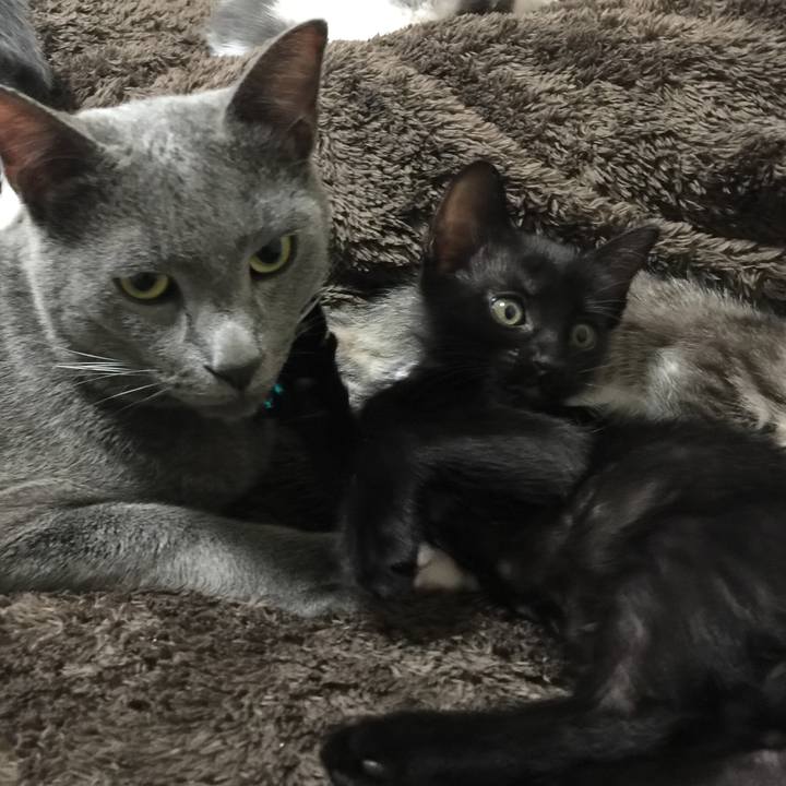 C97dd3c9 49d0 432a 9f92 dac5486e6e8d