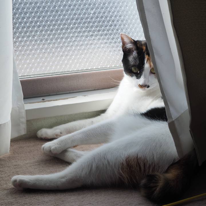 C97e02a3 8721 40af b51f 82d6b8fc4f4b