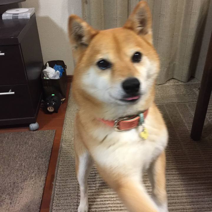 C97e1625 4c32 422d 8510 7ae517b25657