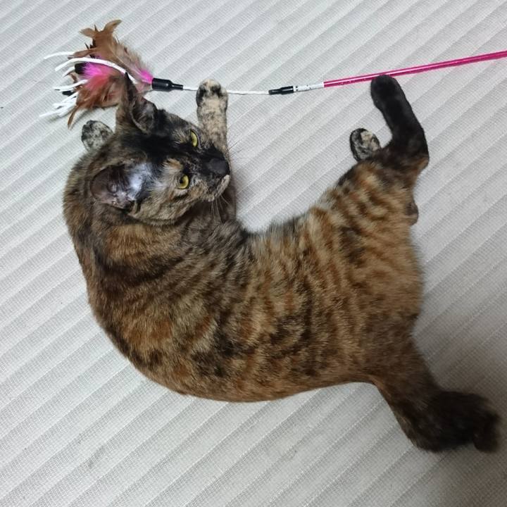 C97e5339 9306 4917 a066 6647ada7fb05