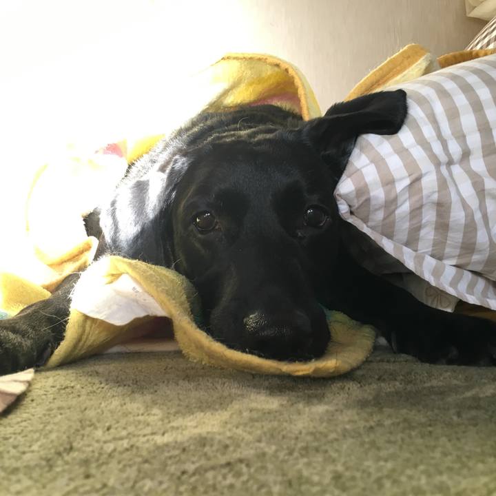 C97eb0e6 965c 478c 9406 8e30778af7a7