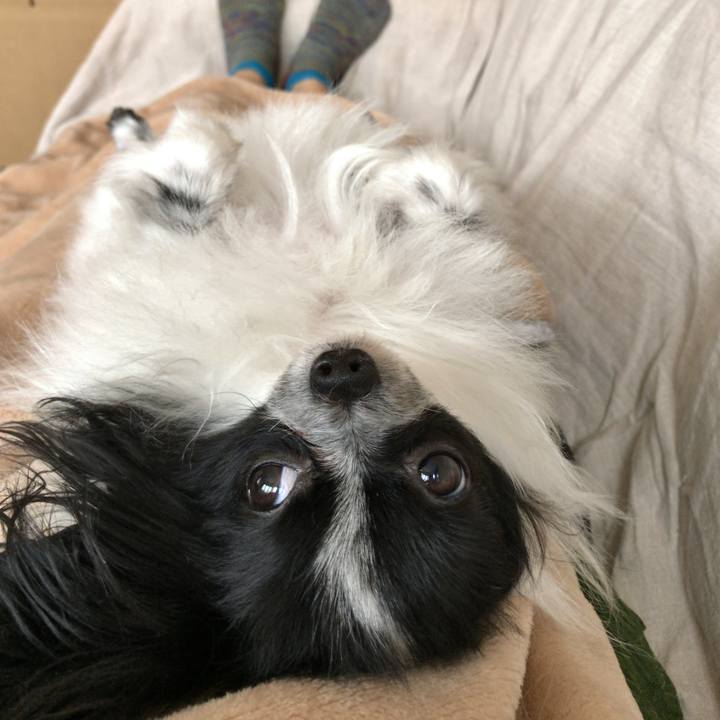 C97f0ecf bf55 4006 a1b7 0ba66accbaec