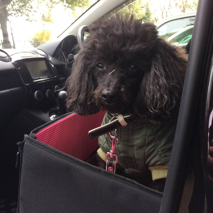 C97f1d52 f0cb 4bae bd52 a2814ada06fa